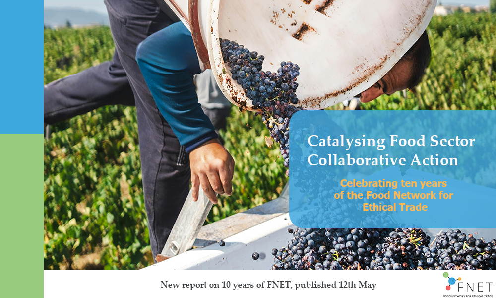 A promotional image of FNET's ten year anniversary report