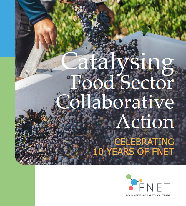 A cover image of FNET's anniversary report