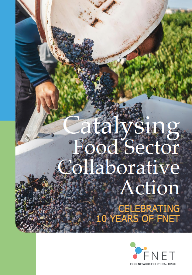 A cover image of FNET's anniversary report