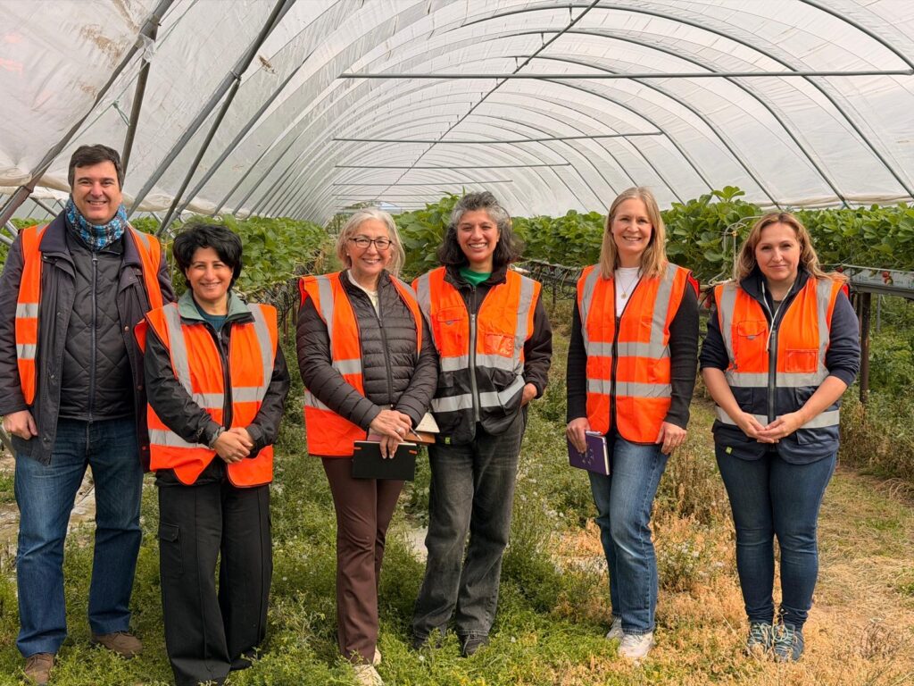 An image of FNET team and colleagues visiting a berry farm